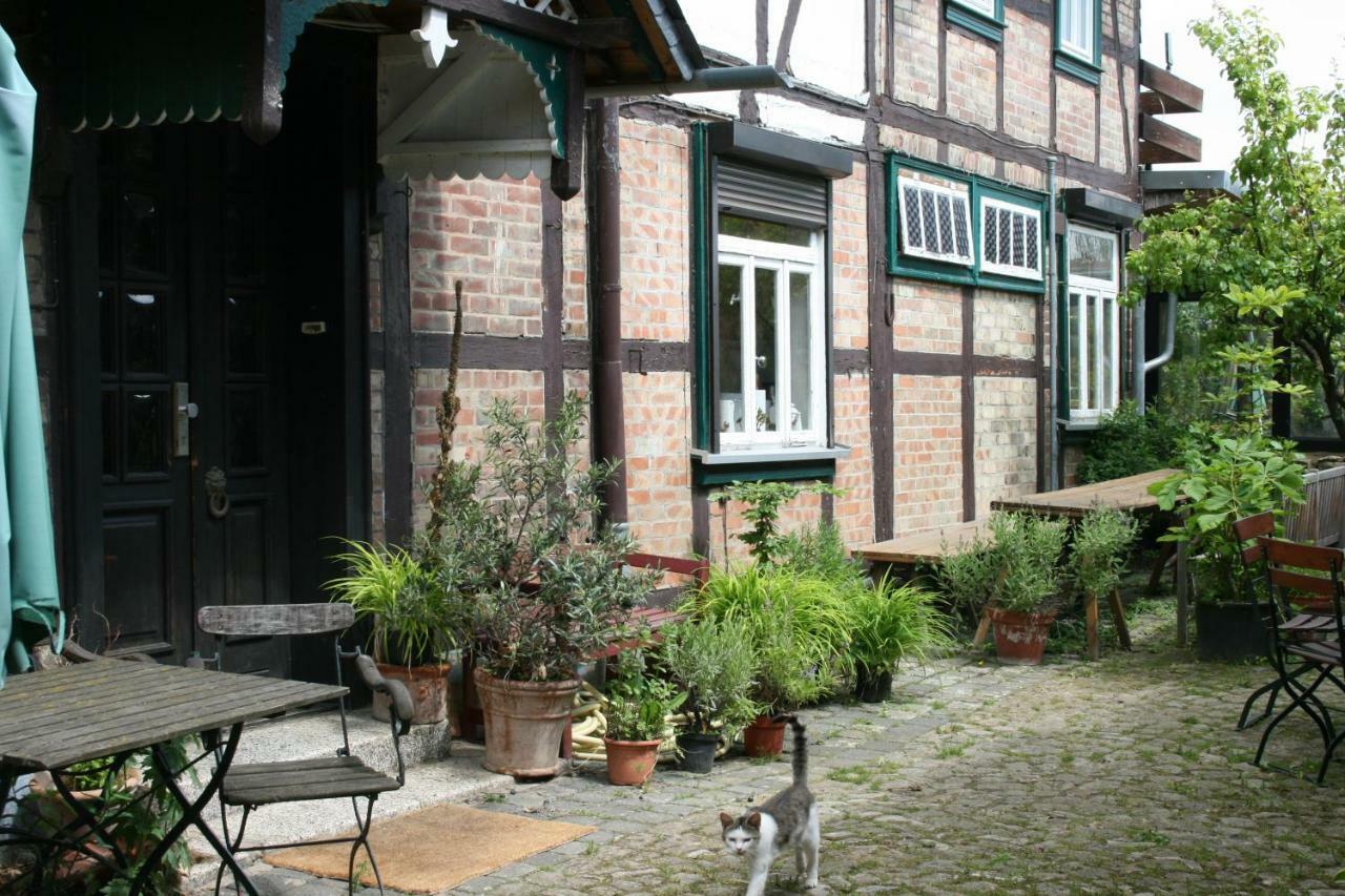 Apartments Cafe Brennnessel Veltheim Eksteriør billede